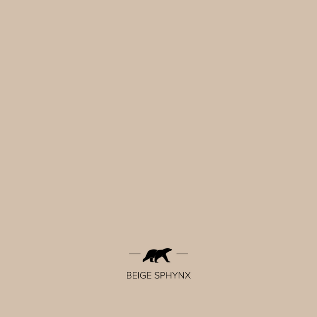 beige-sphynx | Mise en situation