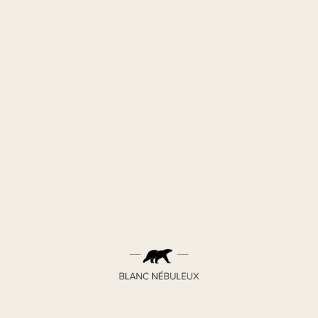 blanc-nebuleux | Mise en situation