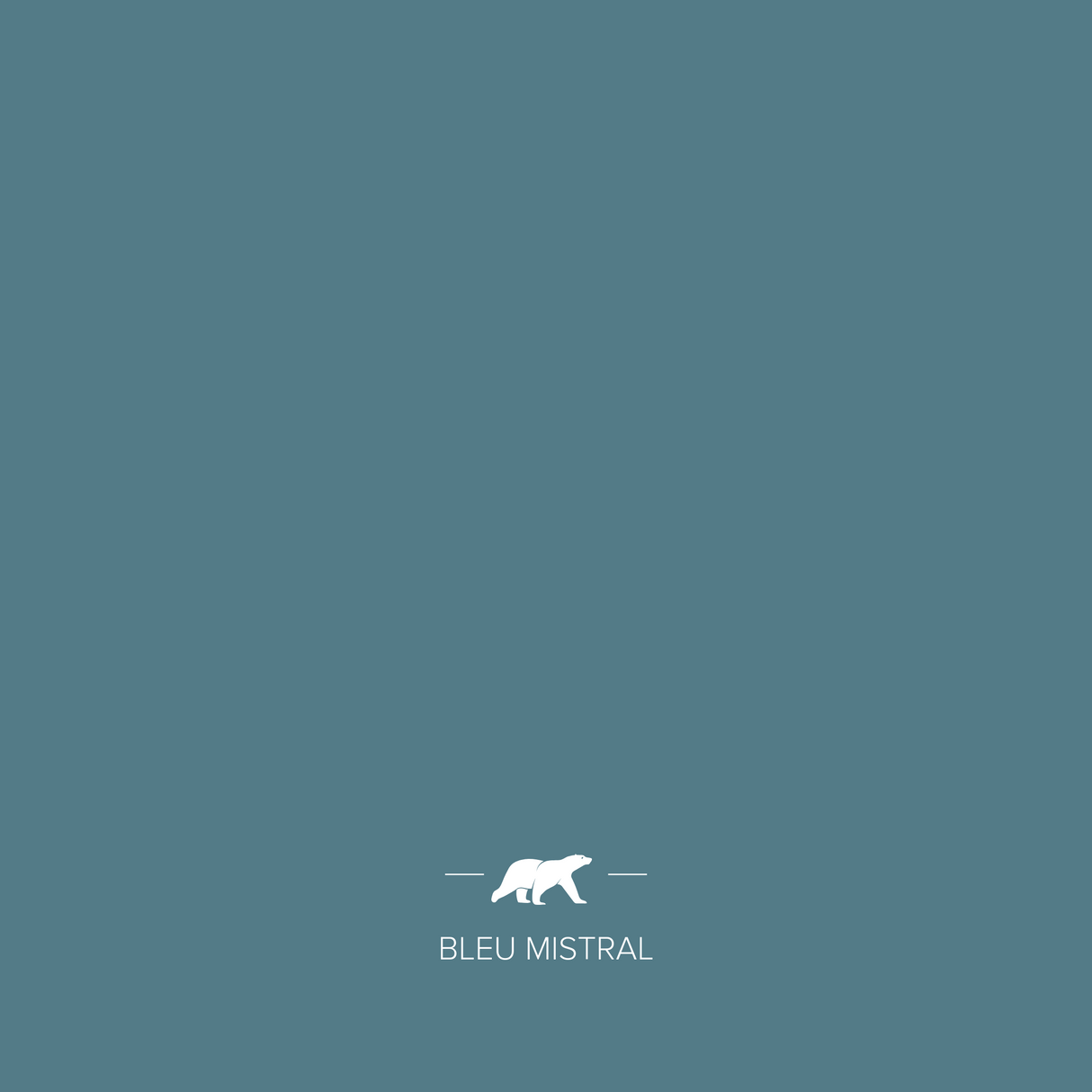 bleu-mistral | Mise en situation