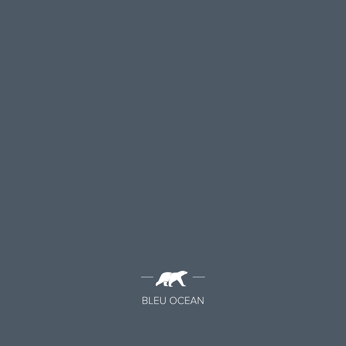 bleu-ocean | Mise en situation