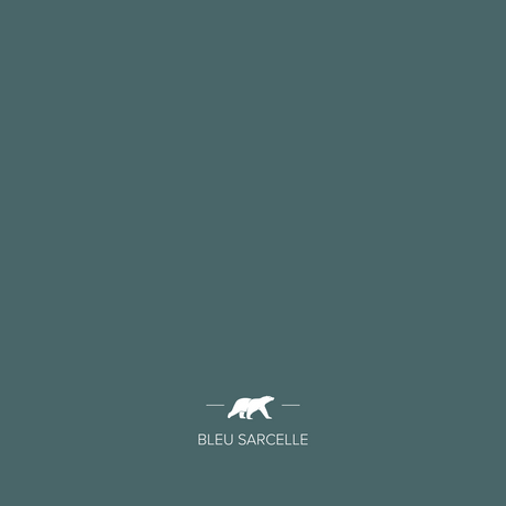 bleu-sarcelle | Mise en situation