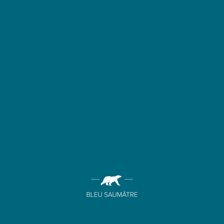 bleu-saumatre | Mise en situation