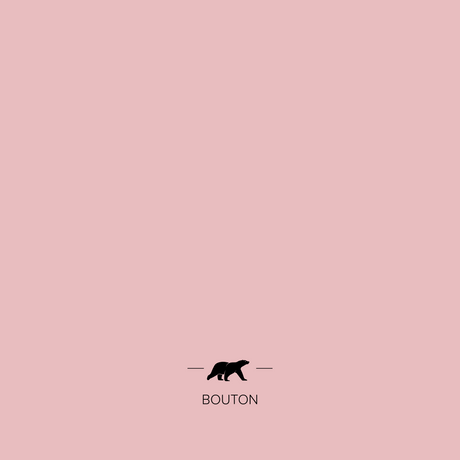 bouton | Mise en situation