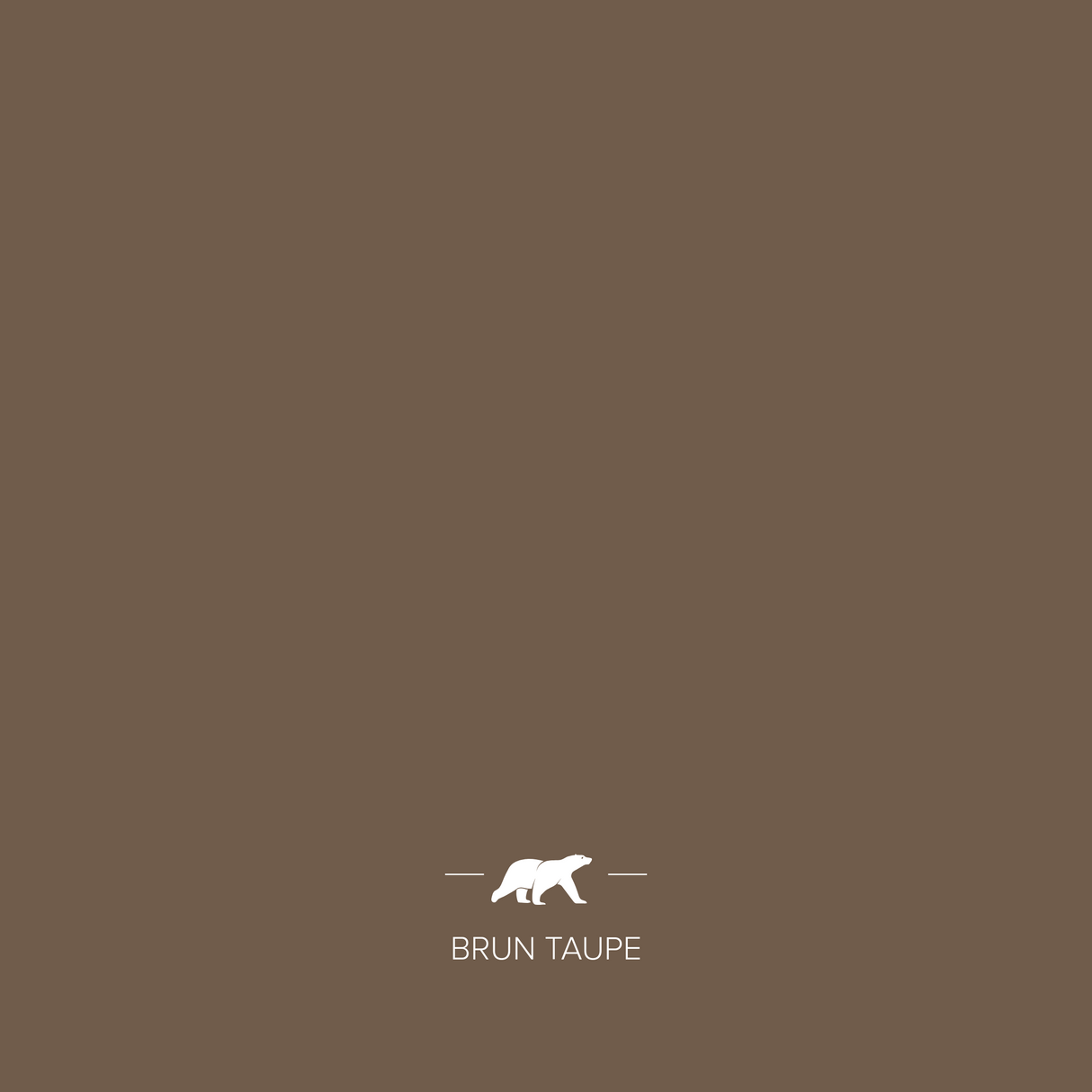 brun-taupe | Mise en situation