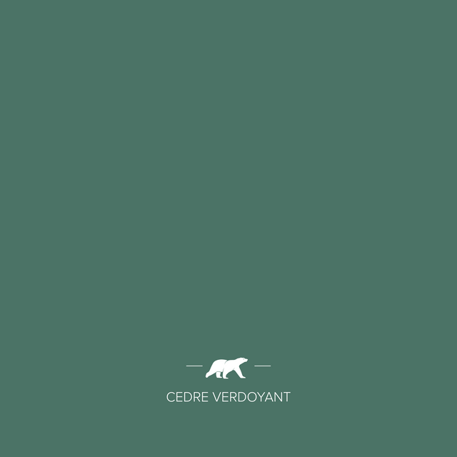 cedre-verdoyant | Mise en situation