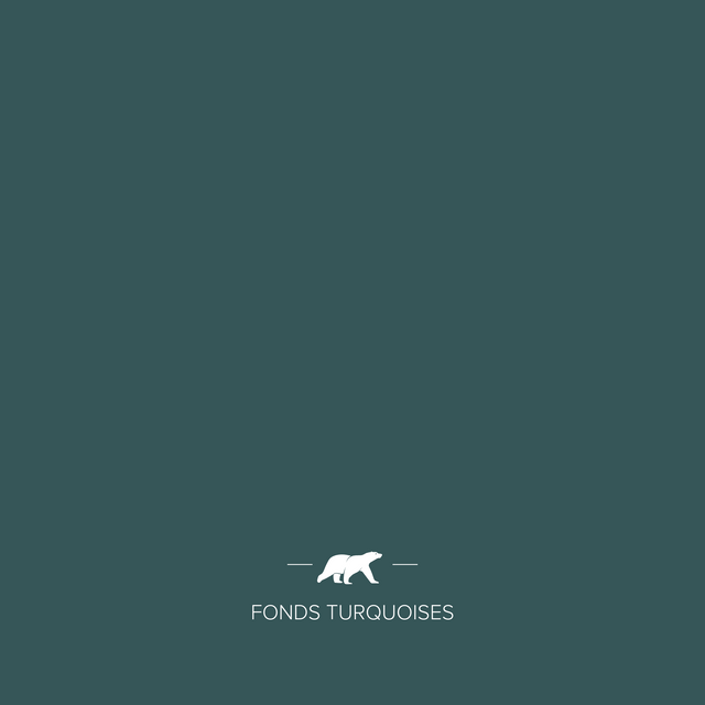 fonds-turquoises | Mise en situation