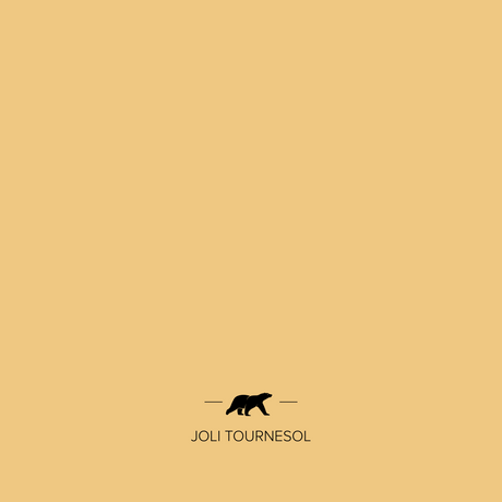 joli-tournesol | Mise en situation