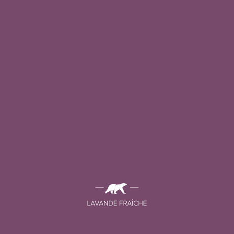 lavande-fraiche | Mise en situation