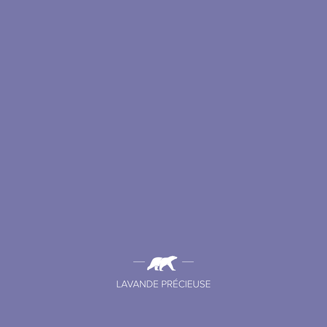 lavande-precieuse | Mise en situation