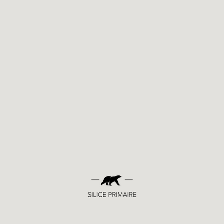 silice-primaire | Mise en situation