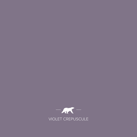 violet-crepuscule | Mise en situation